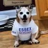 Essex Home Improvements